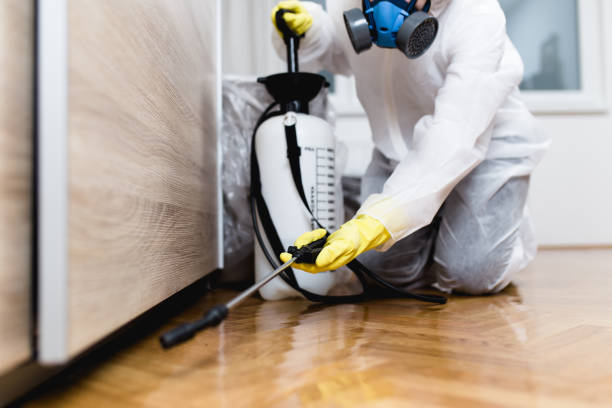 Best Best Pest Control Companies  in Holliday, TX