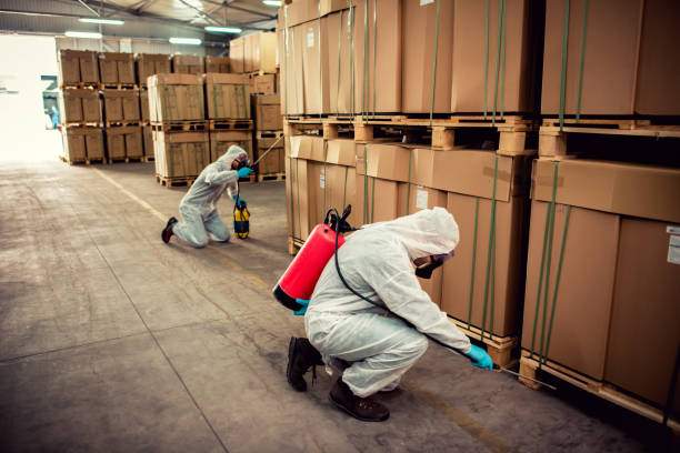 Best Exterminator Services  in Holliday, TX