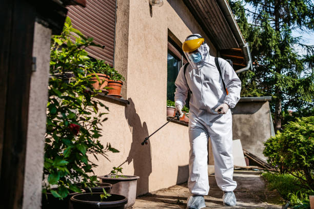 Best Affordable Pest Control Services  in Holliday, TX