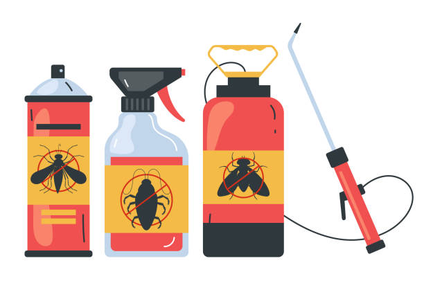 Trusted Holliday, TX Pest Control Experts