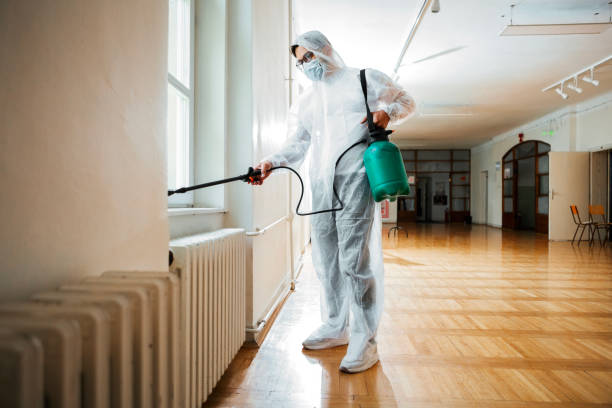 Best Residential Pest Control  in Holliday, TX
