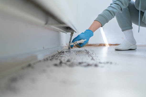 Best Commercial Pest Control Services  in Holliday, TX